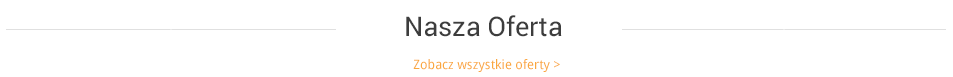 Przewodnik po Rzymie oferty